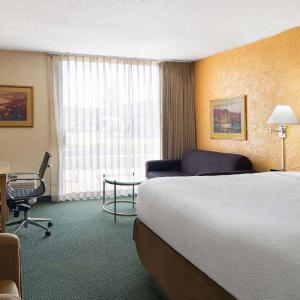 Deluxe King Room - Non-Smoking