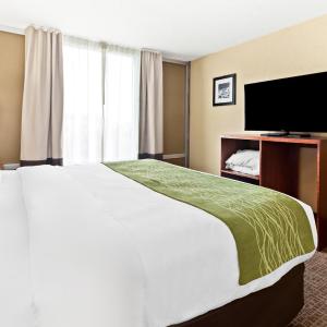 One Room Suite with Sofa bed - Non Smoking/Upper floor