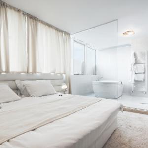 Pure White Apartment