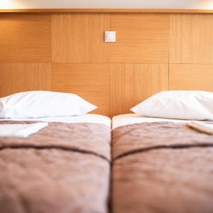 Double or Twin Room with Mountain View
