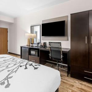 King Room - Non-Smoking