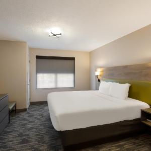 One-Bedroom King Suite with Sofa Bed