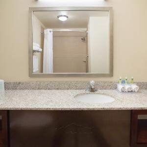 Standard Queen Room with Two Queen Beds - Pet Friendly