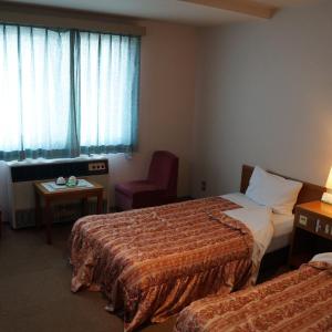 Superior Twin Room - Non-Smoking
