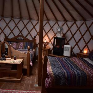 Mongolian Yurt