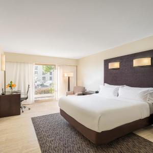 CLUB, Club lounge access, Suite, 1 King