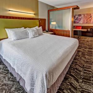King Suite with Roll-In Shower and Sofa Bed - Mobility Access/Hearing Accessible