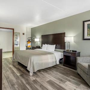 King Room - Accessible/Non-Smoking