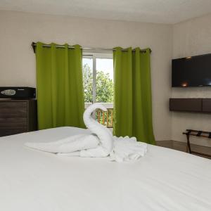 Courtyard Studio Deluxe 