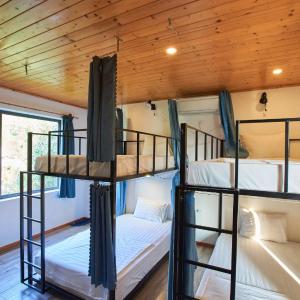 Bunk Bed in Mixed Dormitory Room