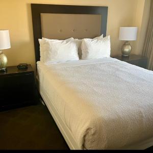Deluxe Queen Suite