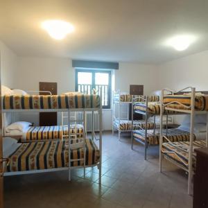 Bunk Bed in Female Dormitory Room  
