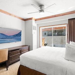 1 Bedroom Condominium 3616