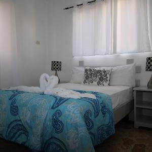 Economy Double Room - Catalina