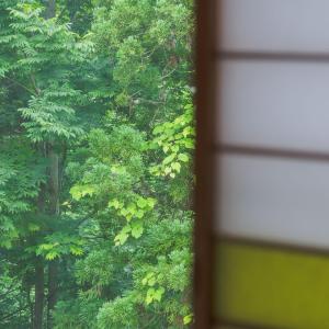 Japanese-Style Room