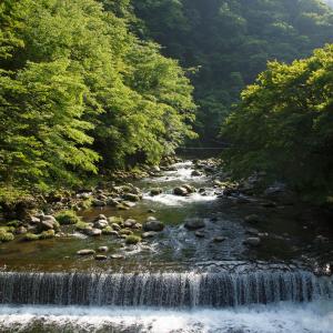 Japanese-Style Quadruple Room with Shared Bathroom and River View