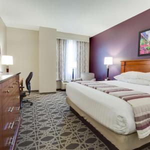 Deluxe King Room - Accessible, Roll-in Shower