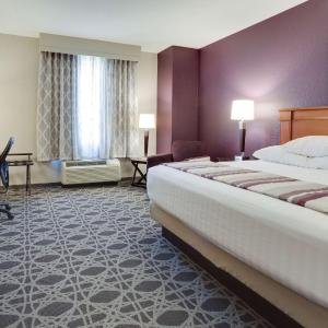 Spacious King Room