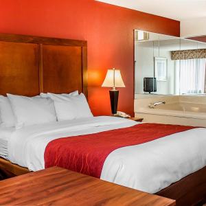 Standard Queen Room with Hot Tub - Non-Smoking