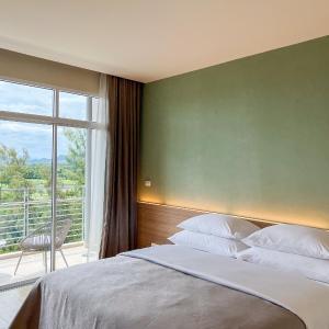 Deluxe Double or Twin Room with Mountain View