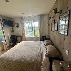 King Room with Garden View