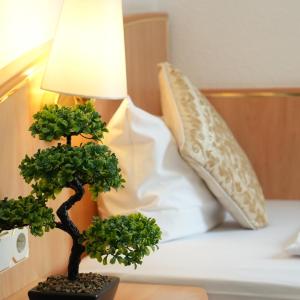 Budget Single Room