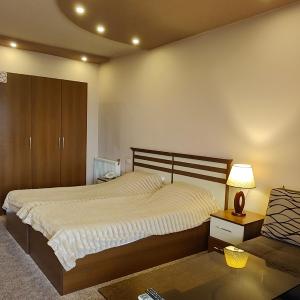 Large Double or Twin Room