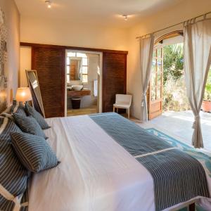 King Room with Garden View