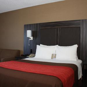 Queen Room - Ground Floor - Pet-Friendly