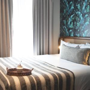 The Surry - Accessible Room 