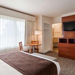 Suite with Sofa Bed - Non-Smoking  