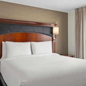 2 Bedroom Larger Suite