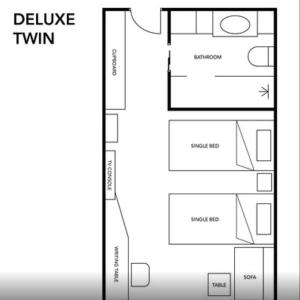 Deluxe Double or Twin Room
