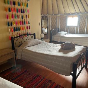 Yurta Socaire