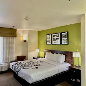 King Room - Accessible/Non-Smoking