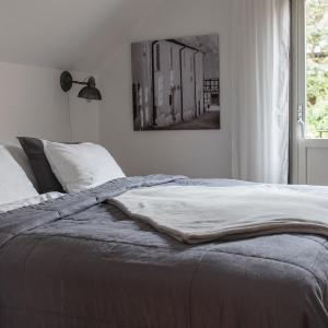 Large One-Bedroom Apartment