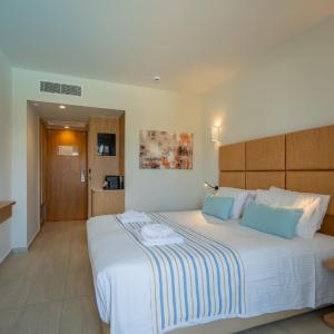 Deluxe Double or Twin Room with Pool View