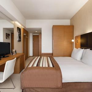 Business 1 Queen Bed Non-Smoking Room