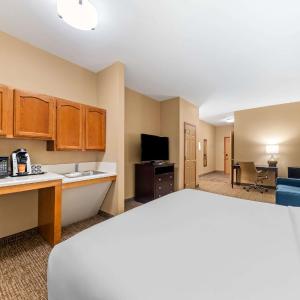 Studio King Suite with Roll In Shower - Mobility Accessible