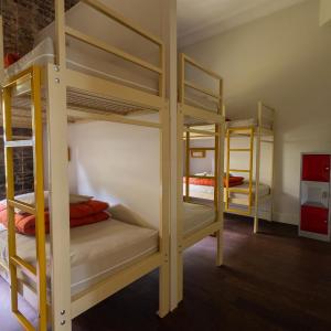 Bed in 8-Bed Mixed Dormitory Room