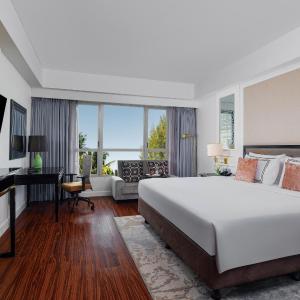 The Level Guestroom 