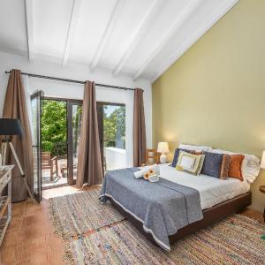 Suite with Terrace 6
