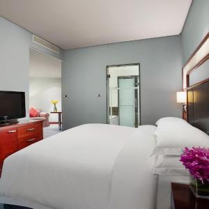 One-Bedroom Suite with Canal View