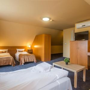 Basic Triple Room