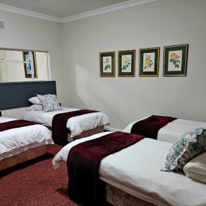 Backpackers Family Room