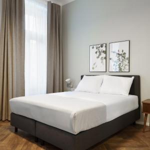 Comfort Queen Room
