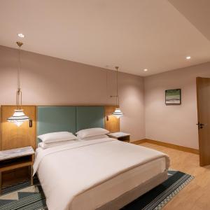 Deluxe King Room - Disability Access