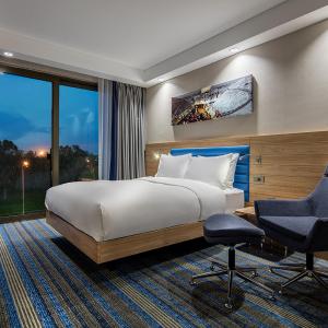 Queen Accessible Room NS