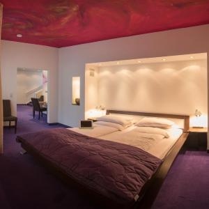 Comfort Suite