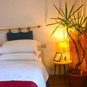  Junior Suite with Spa Bath